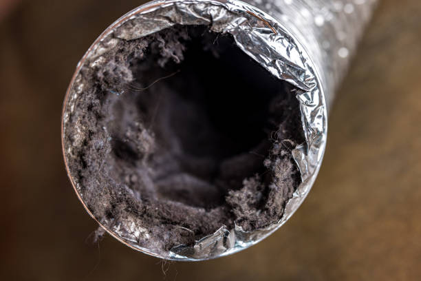 Best Best Air Duct Cleaning Near Me  in San Juan Bautista, CA